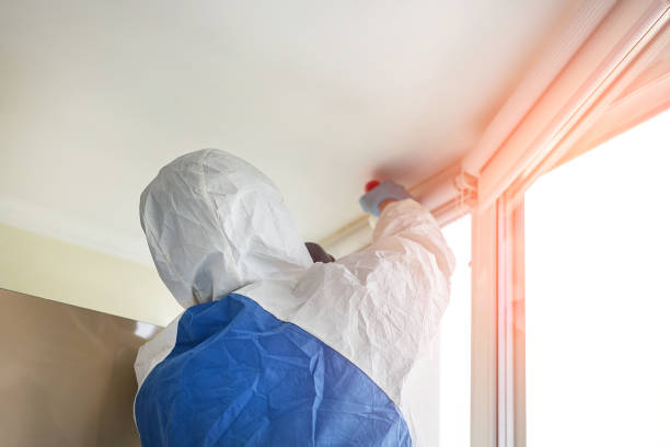 Best Commercial Mold Inspection  in Centerville, IN